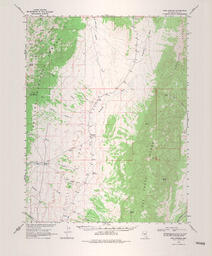 Fish Springs Quadrangle Nevada-Nye Co. 15 Minute Series (Topographic)