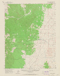 Forest Home Quadrangle Nevada-Nye Co. 15 Minute Series (Topographic)