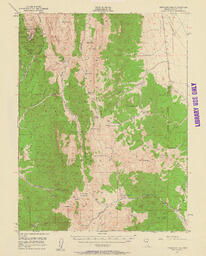 Treasure Hill Quadrangle Nevada-White Pine Co. 15 Minute Series (Topographic)