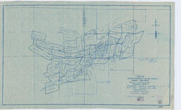 Composite Map of Hawthorne-Alum Creek Mining District Formerly Mt. Cory District "Lucky Boy"